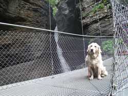 Clic pour agrandir l'mage (1024x768 pixels; 252 KB)