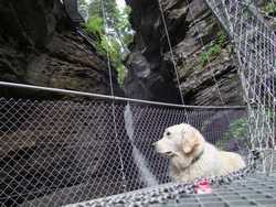 Clic pour agrandir l'mage (1024x768 pixels; 237 KB)