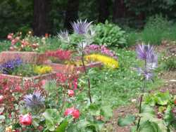 Clic pour agrandir l'mage (1024x768 pixels; 151 KB)