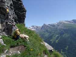 Clic pour agrandir l'�mage (1024x768 pixels; 155 KB)