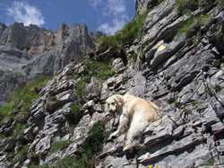 Pour agrandir l'image (1024x768 pixels; 237 KB)