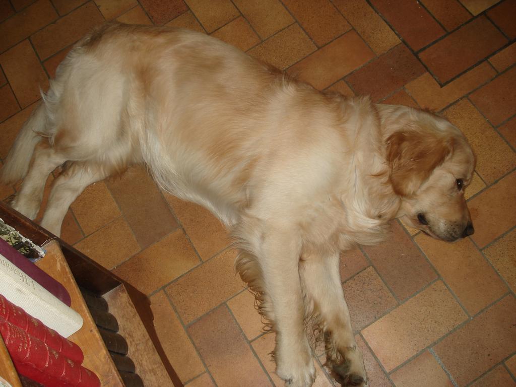 Pour l'image suivante