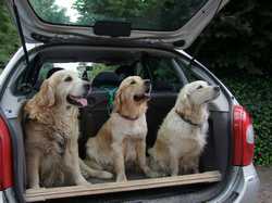 Pour agrandir l'image (1024x768 pixels; 141 KB)