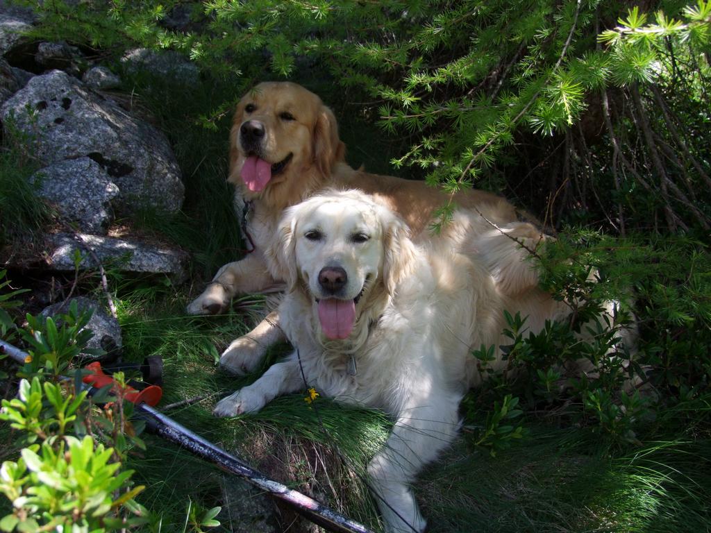 Pour l'image suivante