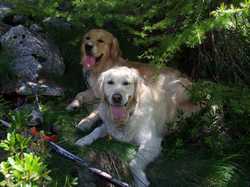 Pour agrandir l'image (1024x768 pixels; 172 KB)