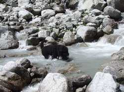 Pour agrandir l'image (1024x768 pixels; 209 KB)