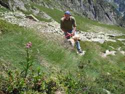 Pour agrandir l'image (1024x768 pixels; 253 KB)