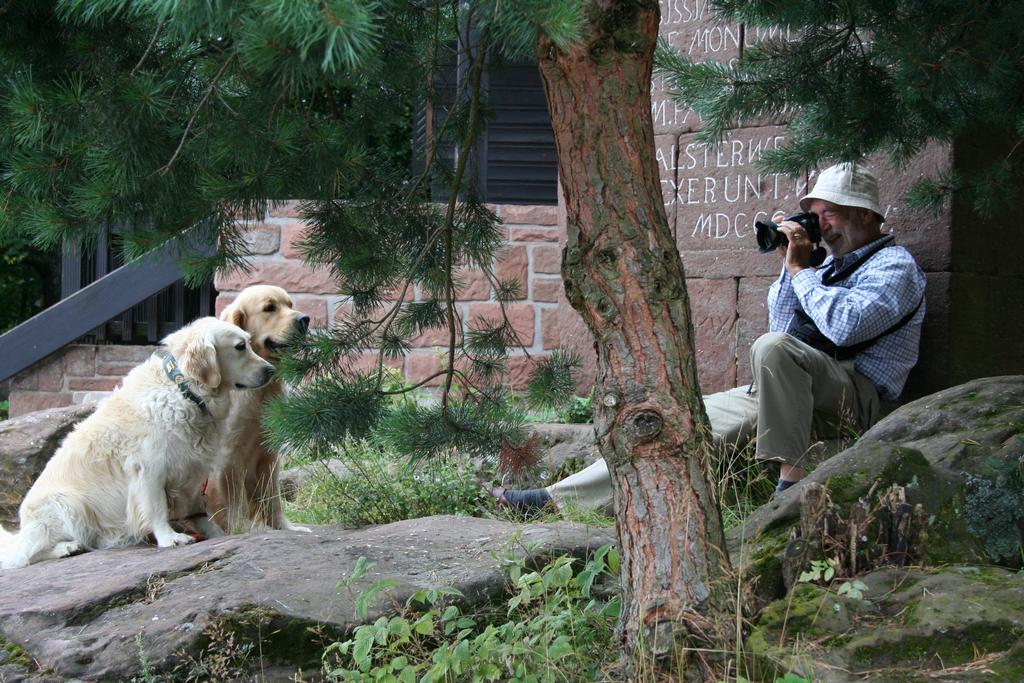 Pour l'image suivante