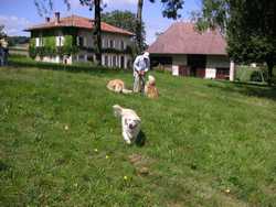 Pour agrandir l'image (1024x768 pixels; 166 KB)