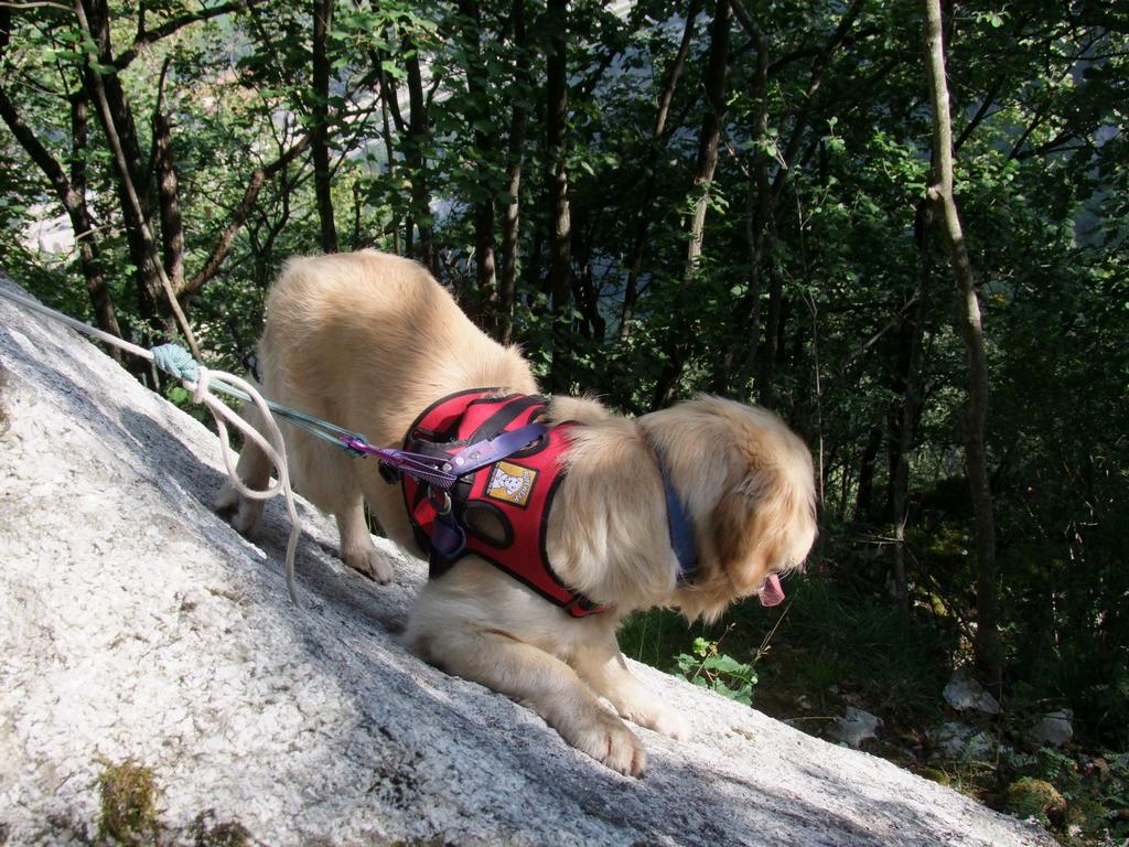 Pour l'image suivante