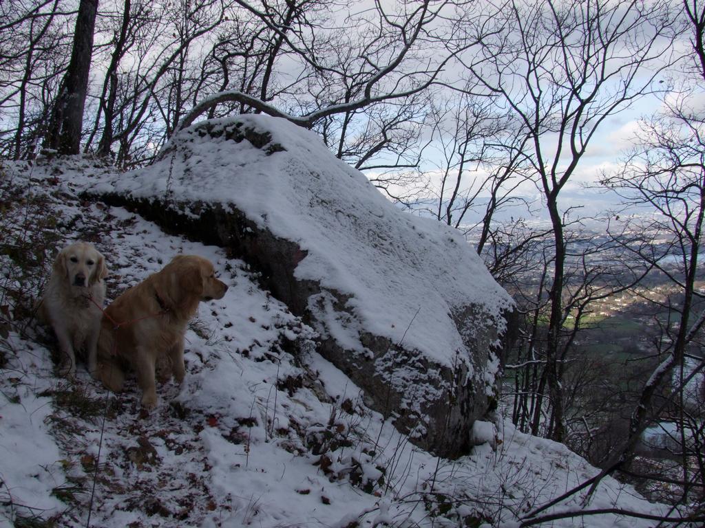 Pour l'image suivante