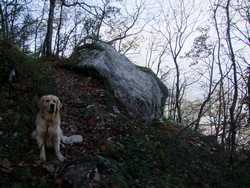 Pour agrandir l'image (1024x768 pixels; 217 KB)