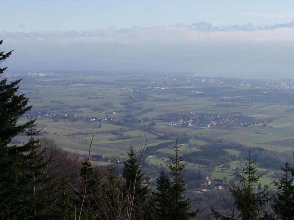 Pour l'image suivante