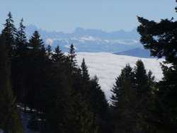 Pour agrandir l'image (1024x768 pixels; 107 KB)