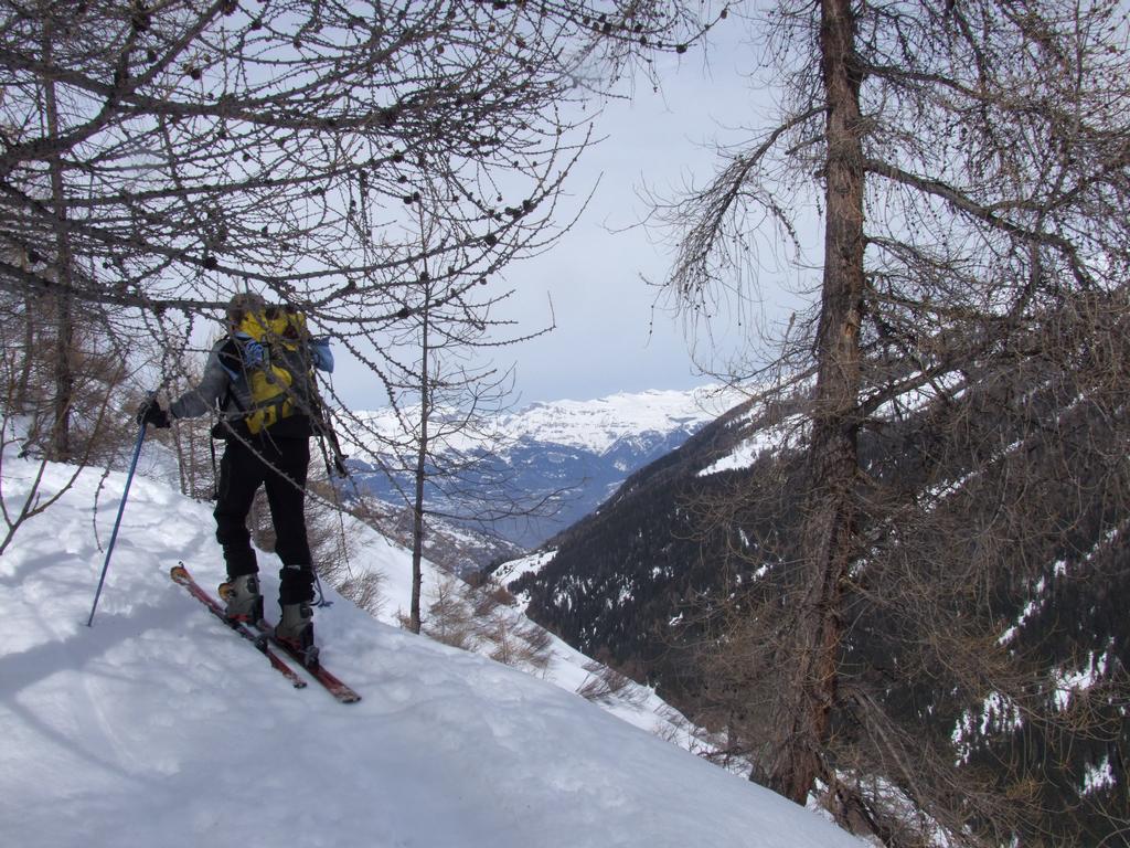 Pour l'image suivante