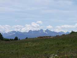 Pour agrandir l'image (1024x768 pixels; 108 KB)