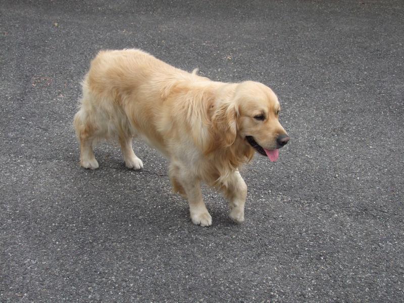 Pour l'image suivante