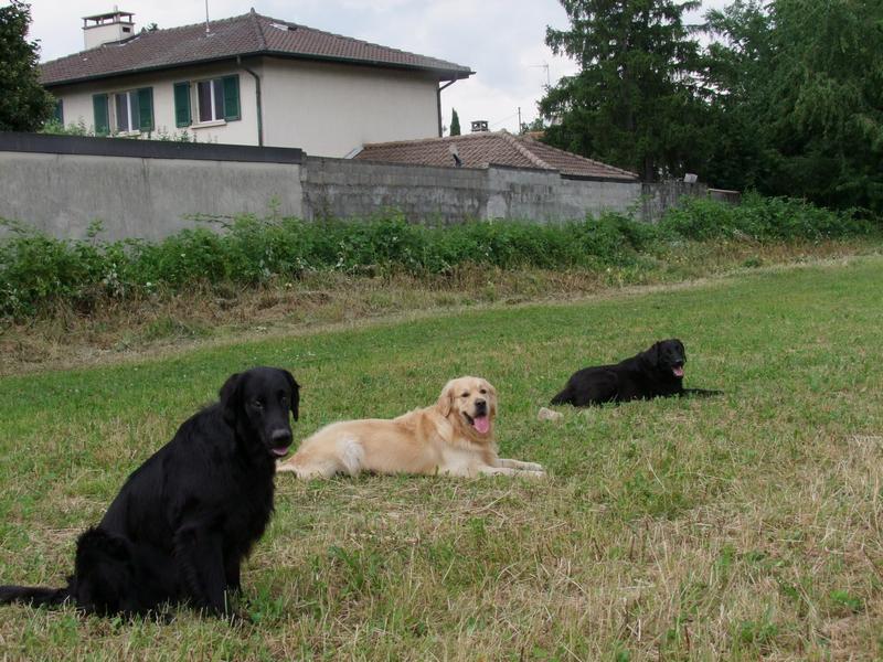 Pour l'image suivante