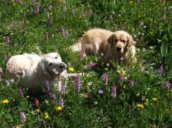 Cliquer pour agrandir l'image (1024x768 pixels; 248 KB)