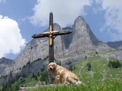 Click to see big picture (1024x768 pixels; 137 KB)