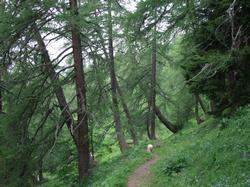 Click to see big picture (1024x768 pixels; 220 KB)