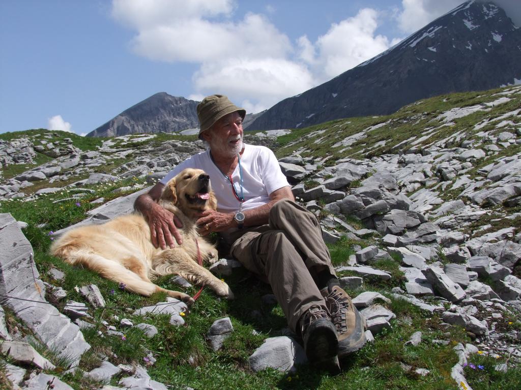 Pour l'image suivante