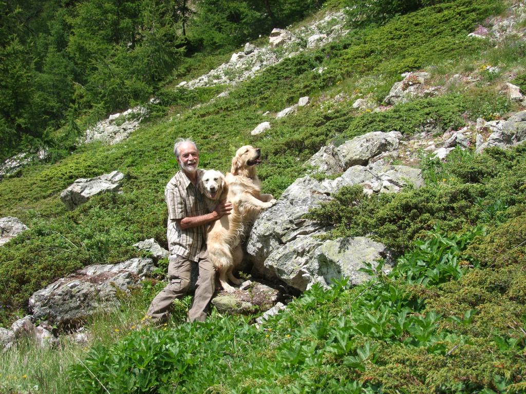 Pour l'image suivante