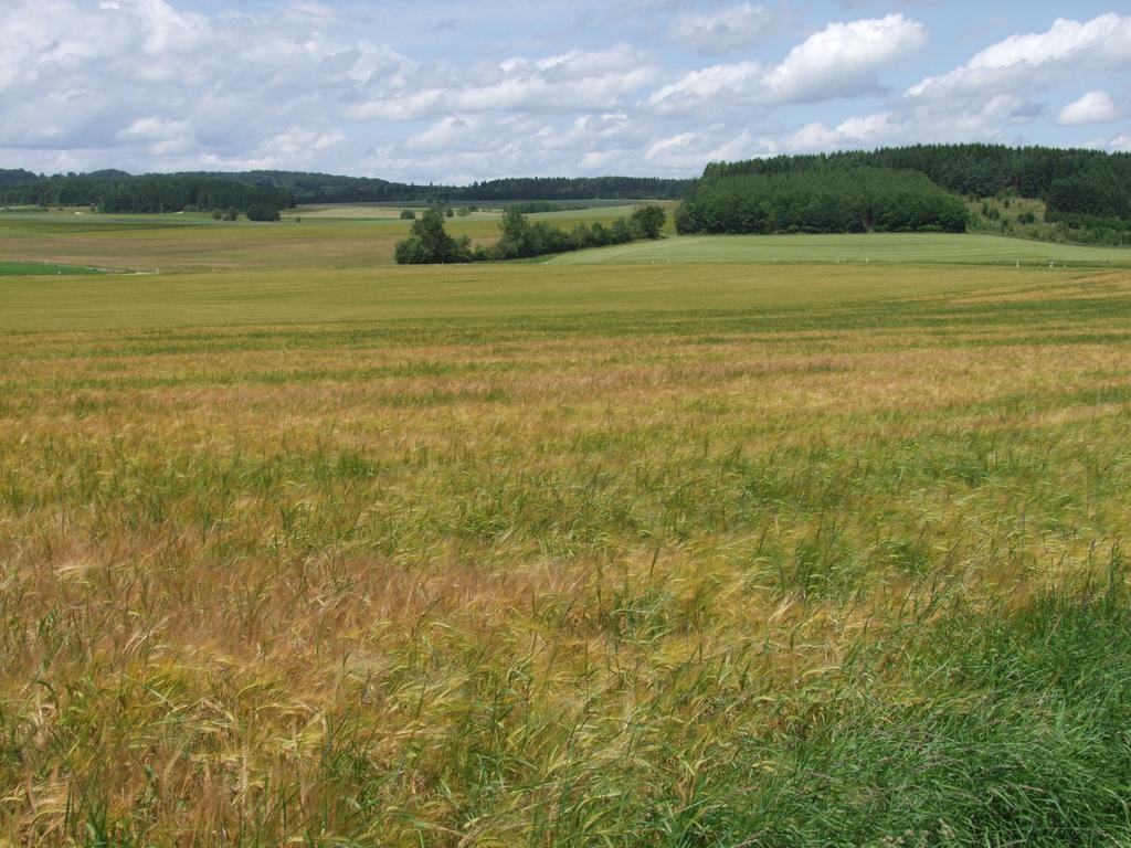 Pour l'image suivante