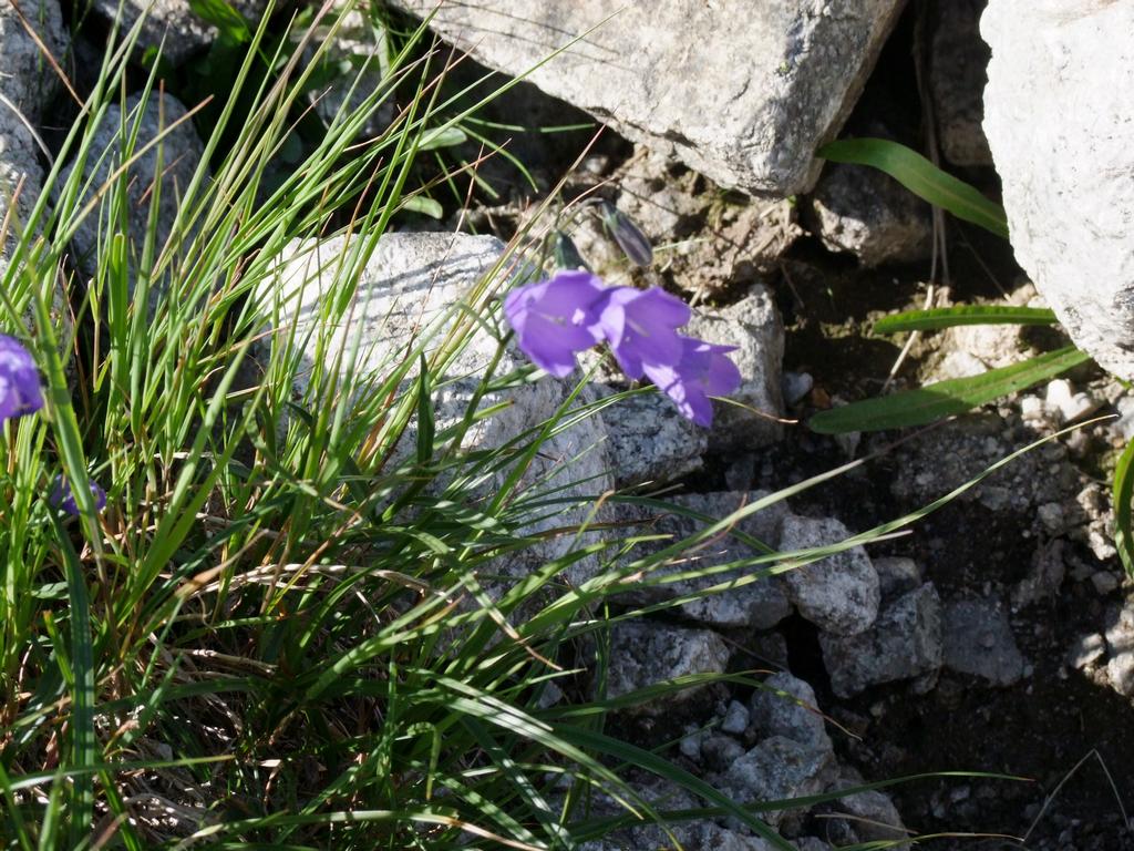 Pour l'image suivante