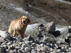 Pour agrandir l'image (1024x768 pixels; 183 KB)