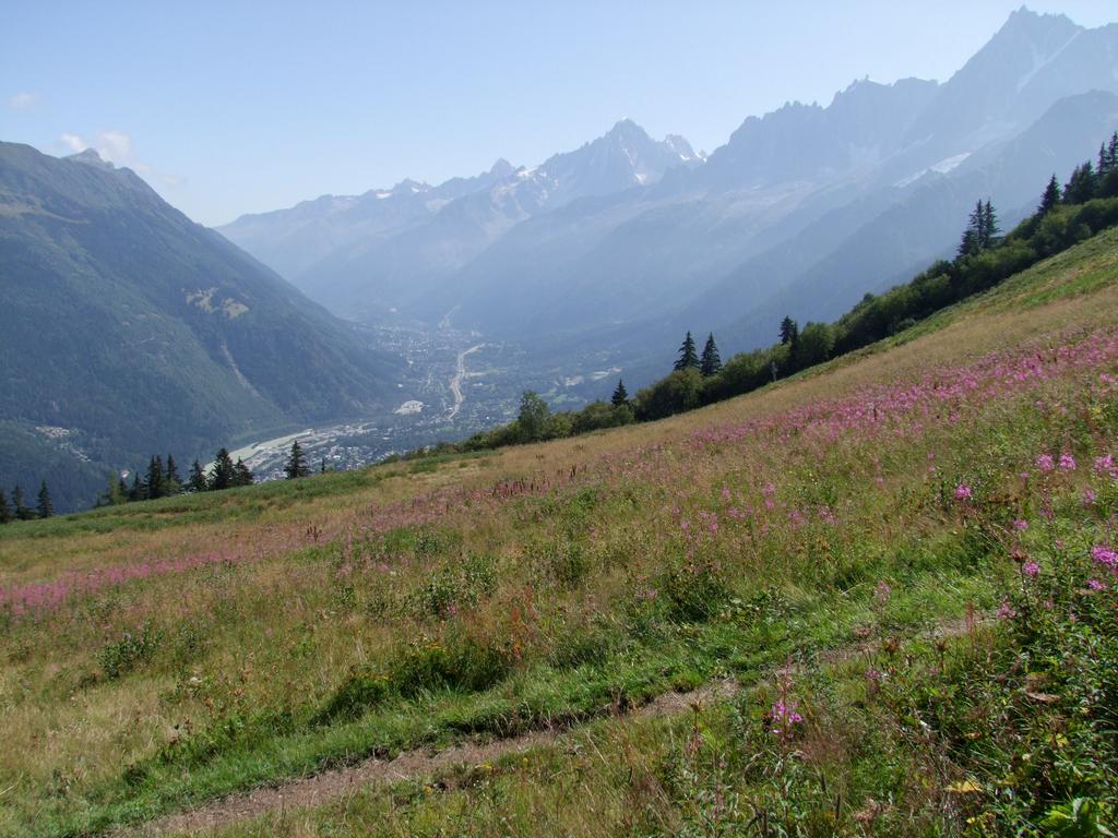 Pour l'image suivante