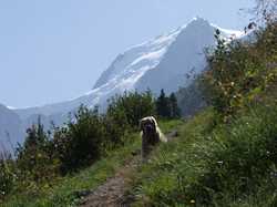 Pour agrandir l'image (1024x768 pixels; 154 KB)