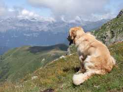 Pour agrandir l'image (1024x768 pixels; 146 KB)