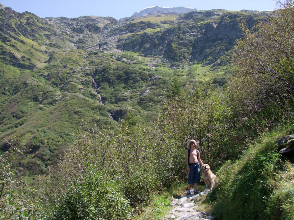 Pour l'image suivante