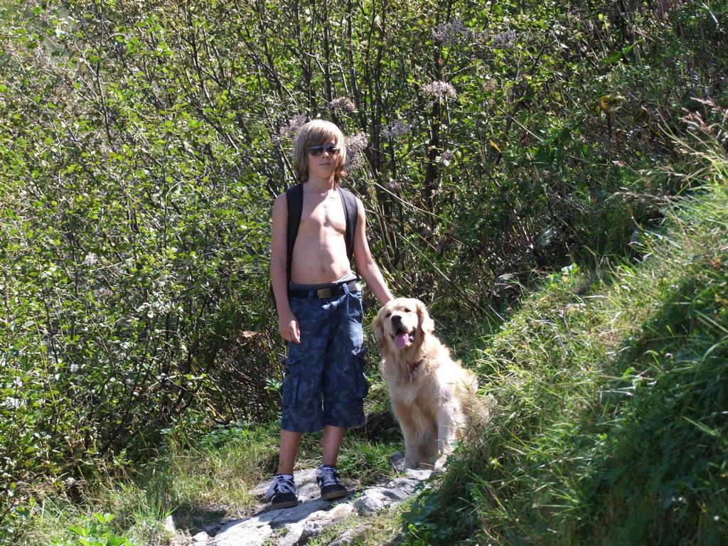 Pour l'image suivante