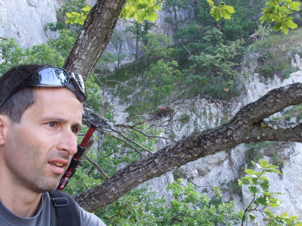 Pour l'image suivante