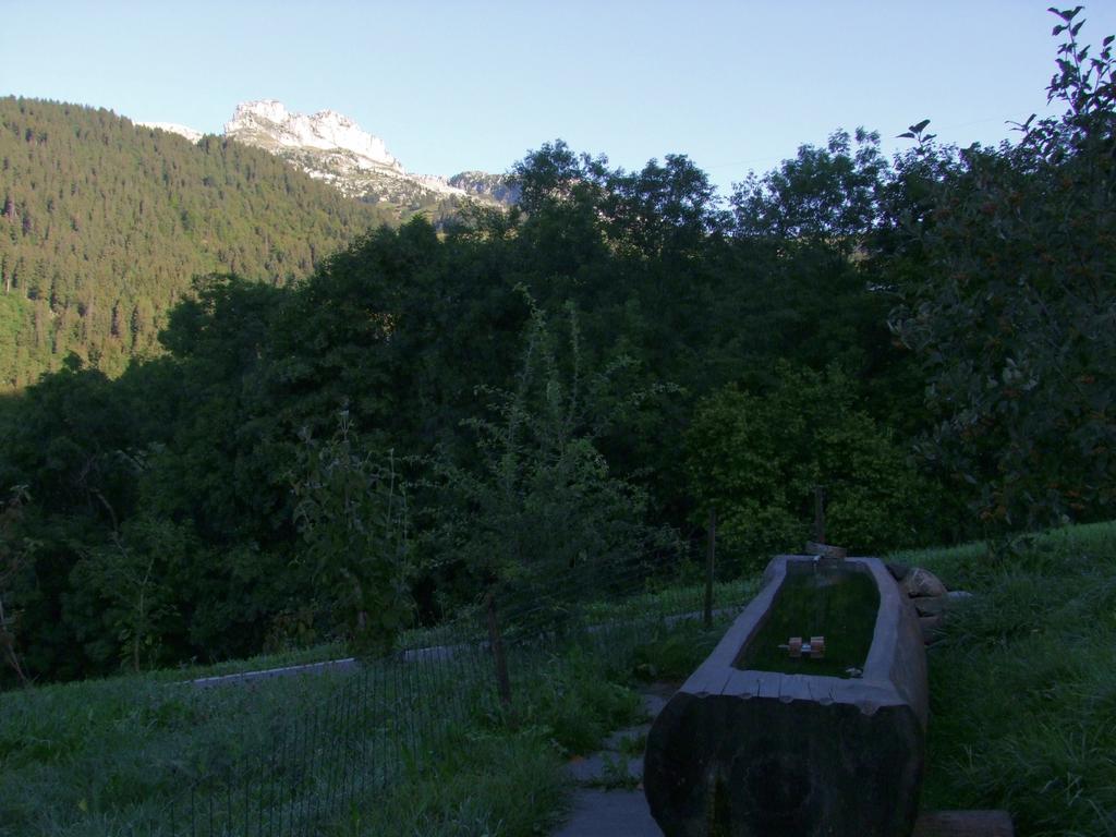 Pour l'image suivante