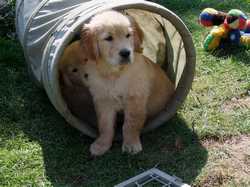 Pour agrandir l'image (1024x768 pixels; 191 KB)