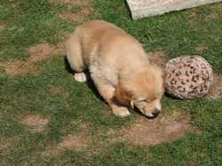 Pour agrandir l'image (1024x768 pixels; 215 KB)