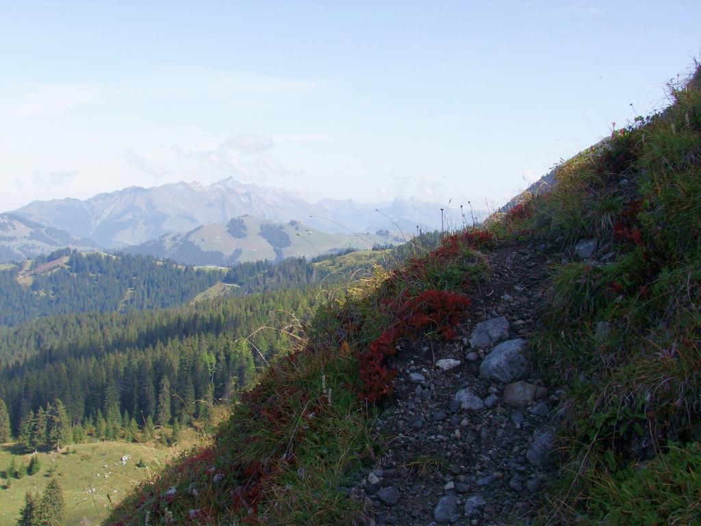 Pour l'image suivante