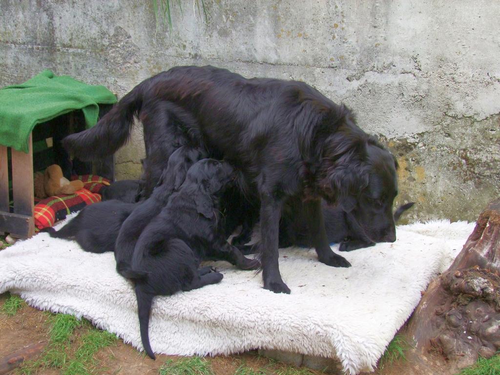 Pour l'image suivante