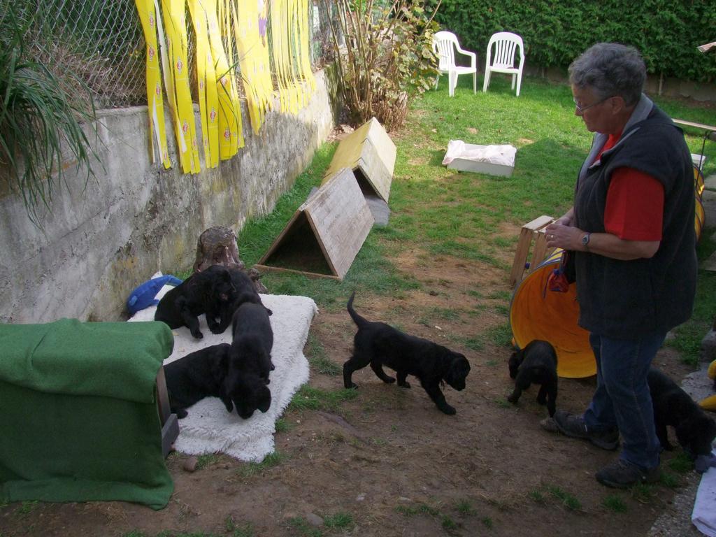 Pour l'image suivante