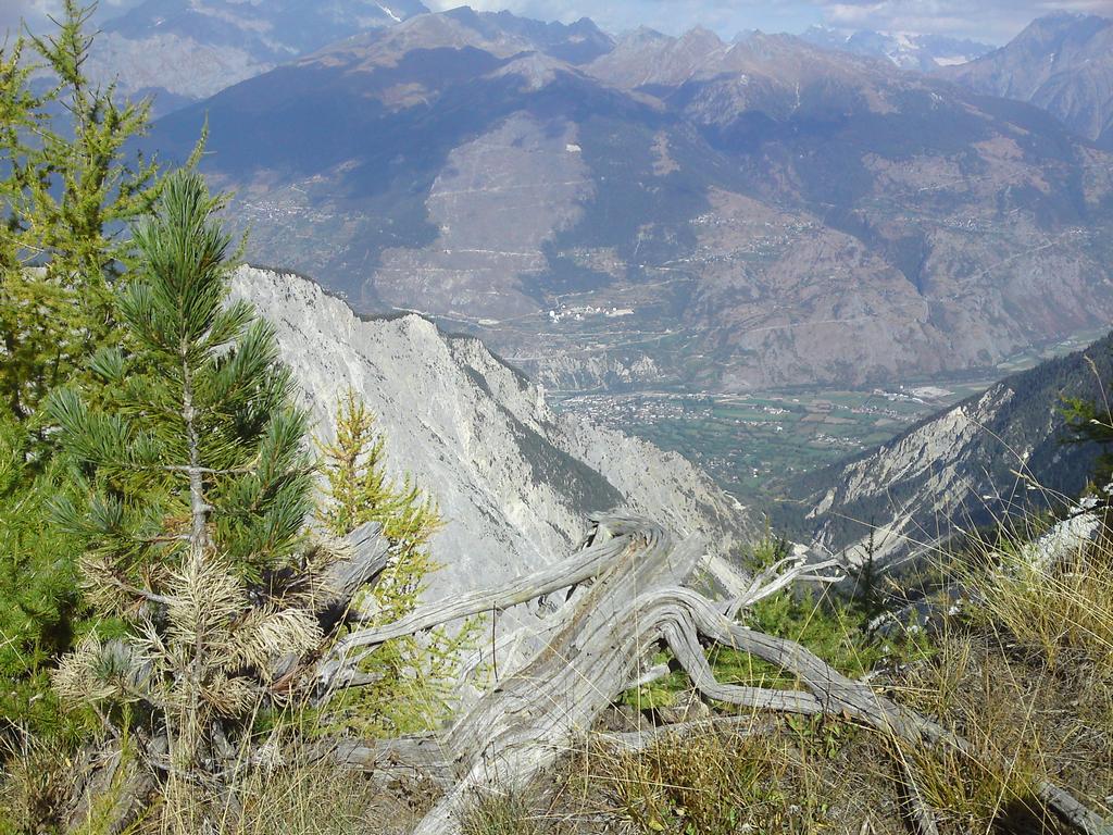 Pour l'image suivante