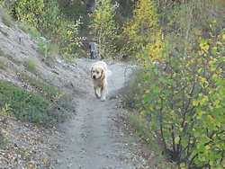 Pour agrandir l'image (1024x768 pixels; 148 KB)