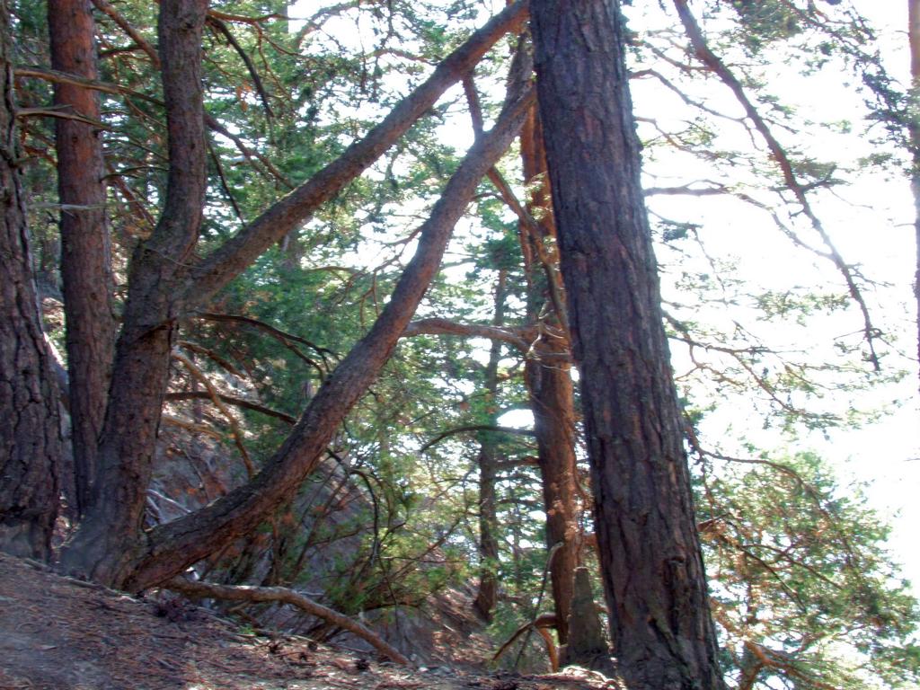 Pour l'image suivante