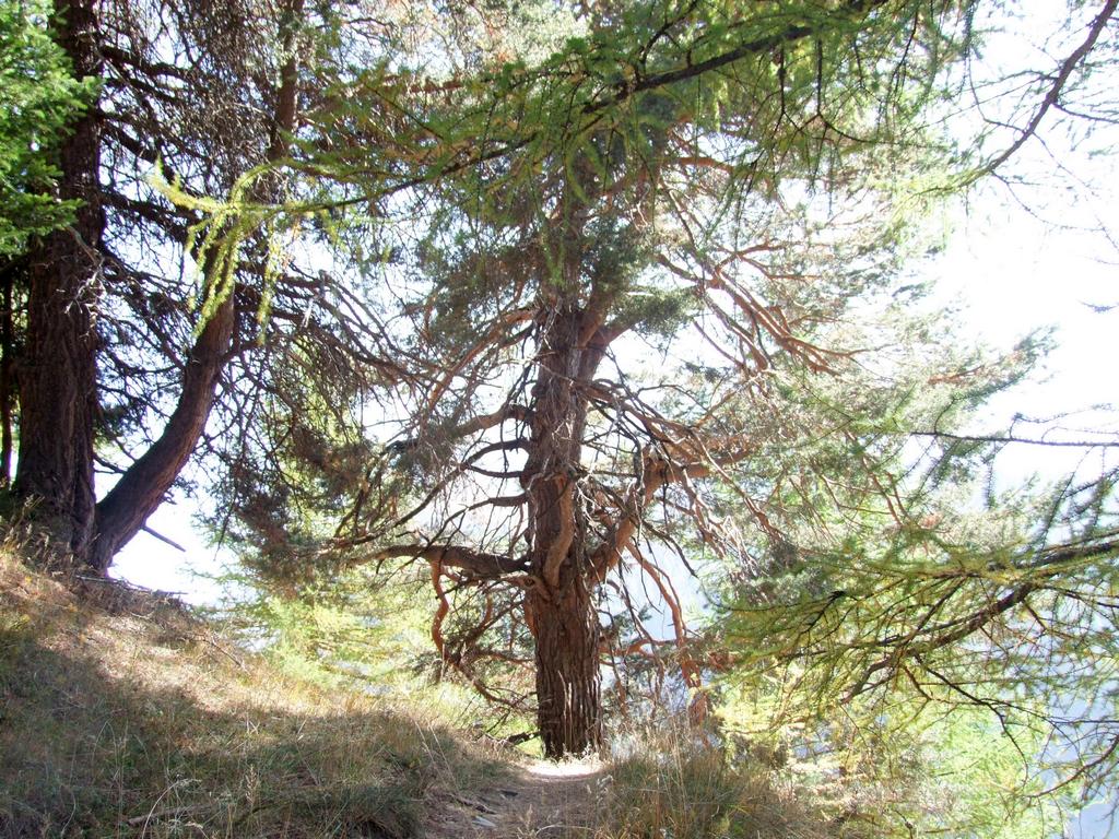 Pour l'image suivante