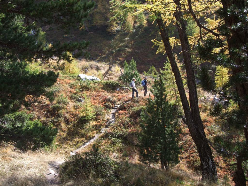 Pour l'image suivante