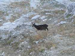 Pour agrandir l'image (1024x768 pixels; 224 KB)