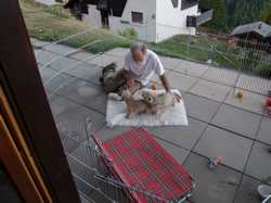 Pour agrandir l'image (1024x768 pixels; 143 KB)