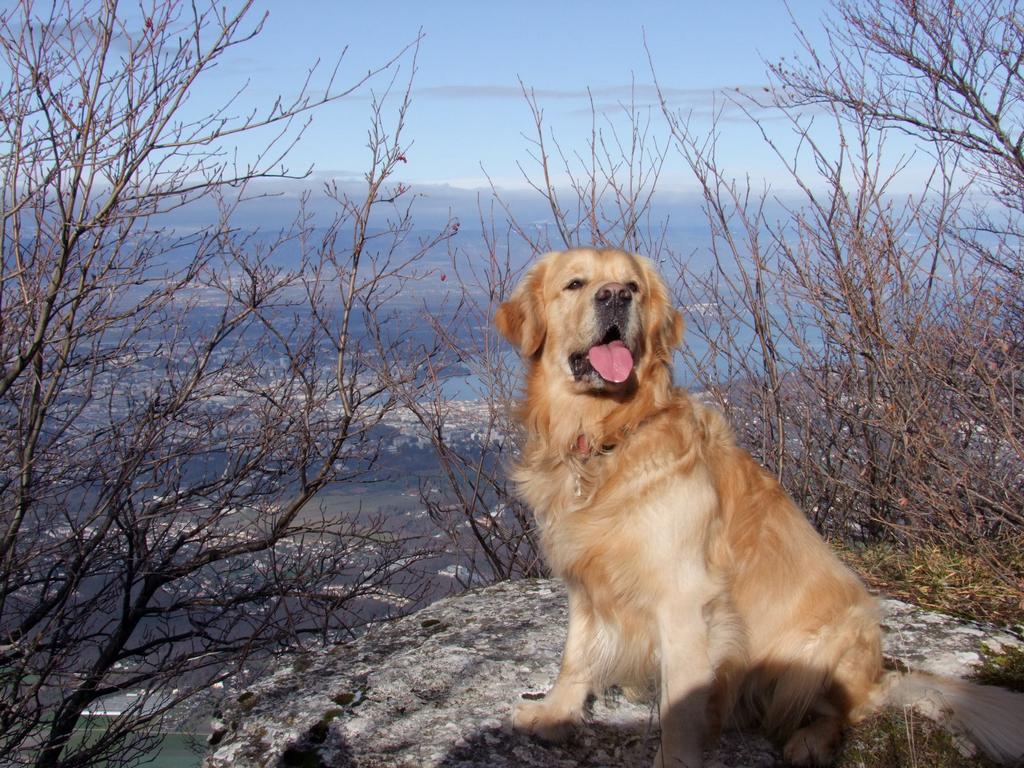 Pour l'image suivante